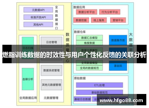 燃脂训练数据的时效性与用户个性化反馈的关联分析
